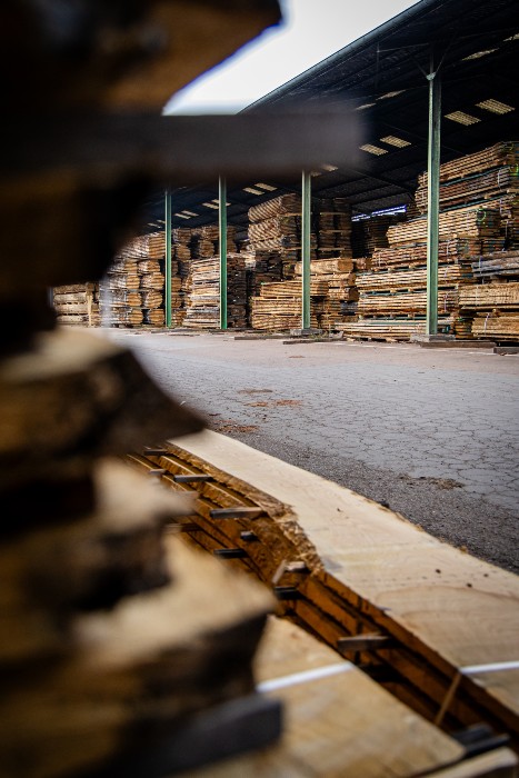 Le groupe DUCERF : 140 ans d’histoire, une aventure industrielle et humaine au cœur du bois