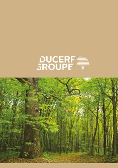 Brochure Ducerf Groupe FR-DE