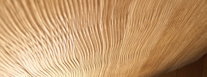 Lambris bois pour aménagement intérieur