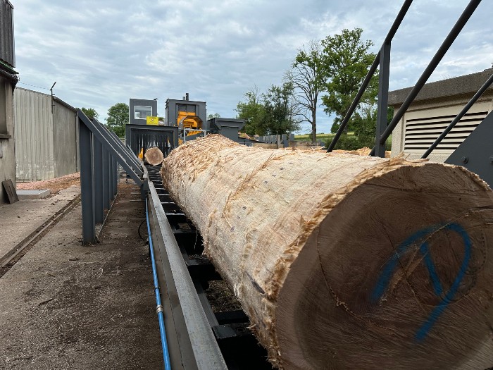 Une nouvelle ligne d’écorçage automatisée pour accélérer la modernisation de la scierie Ducerf