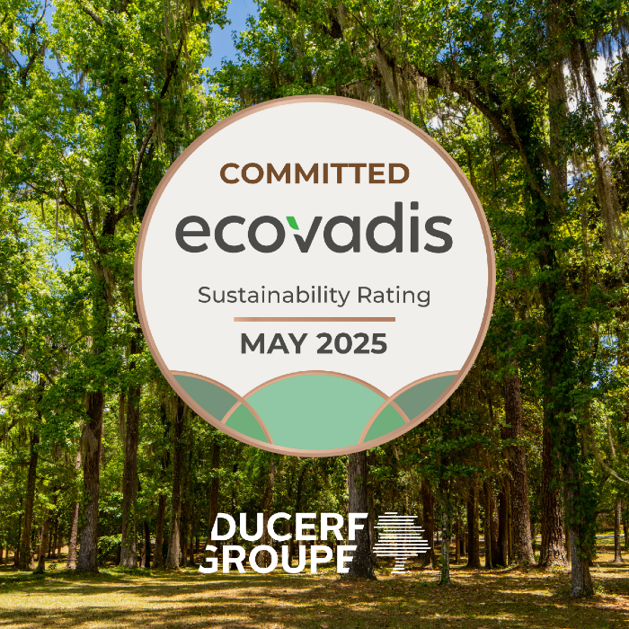 Bilan 2025 - Ambitions & perspectives 2026 du groupe Ducerf