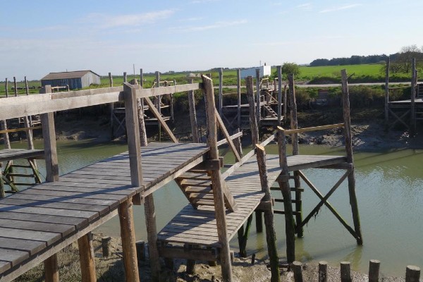 Port en chêne massif