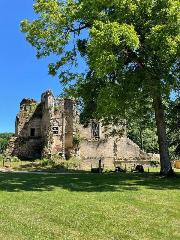 La passerelle du Château des Essarts